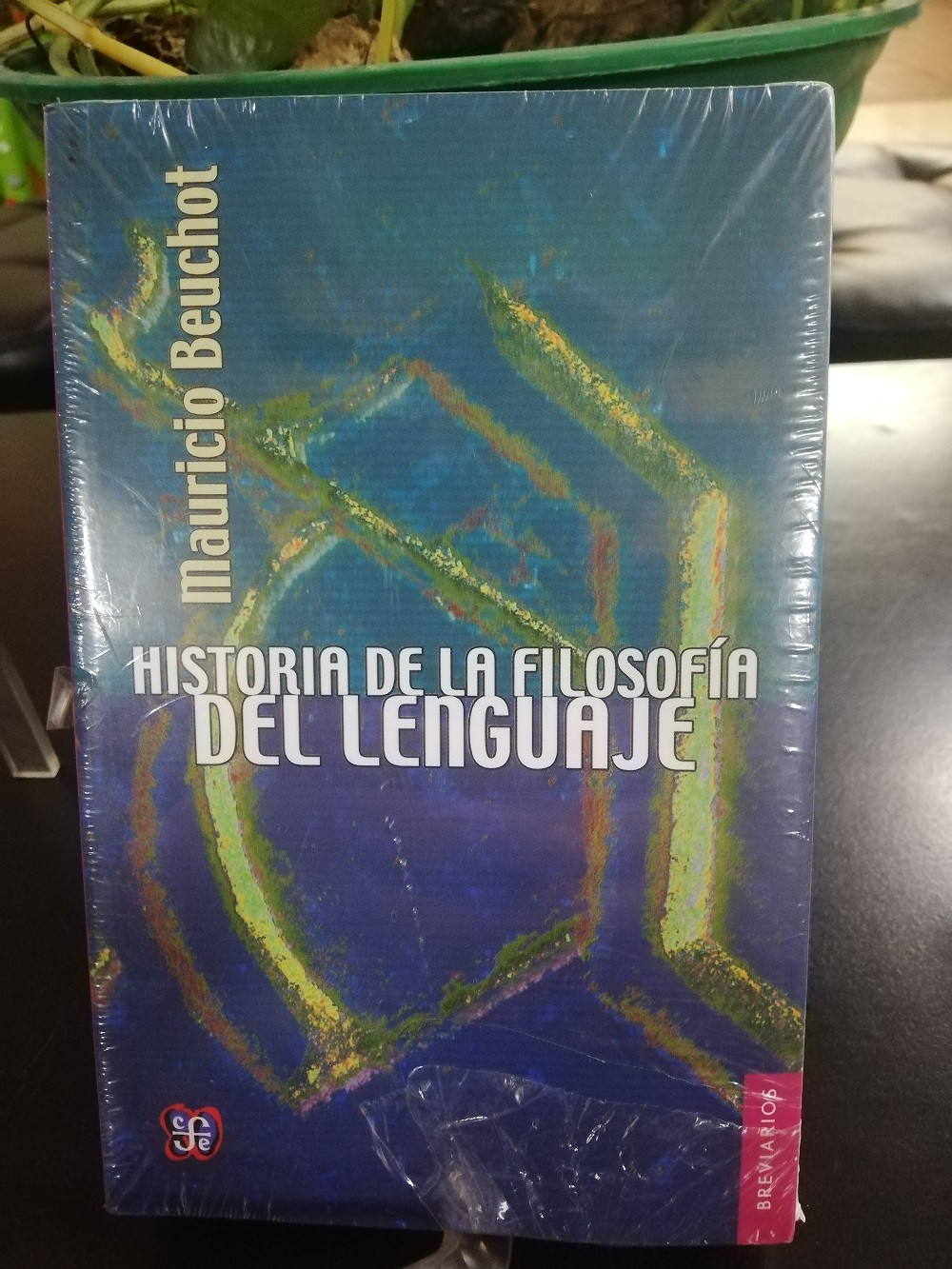 Historia De La Filosof A Del Lenguaje Mauricio Beuchot