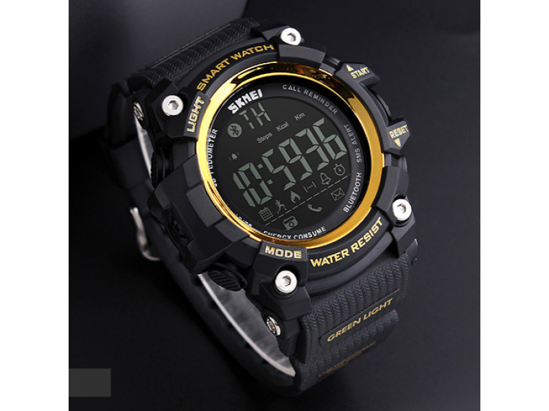 skmei 1227 smartwatch