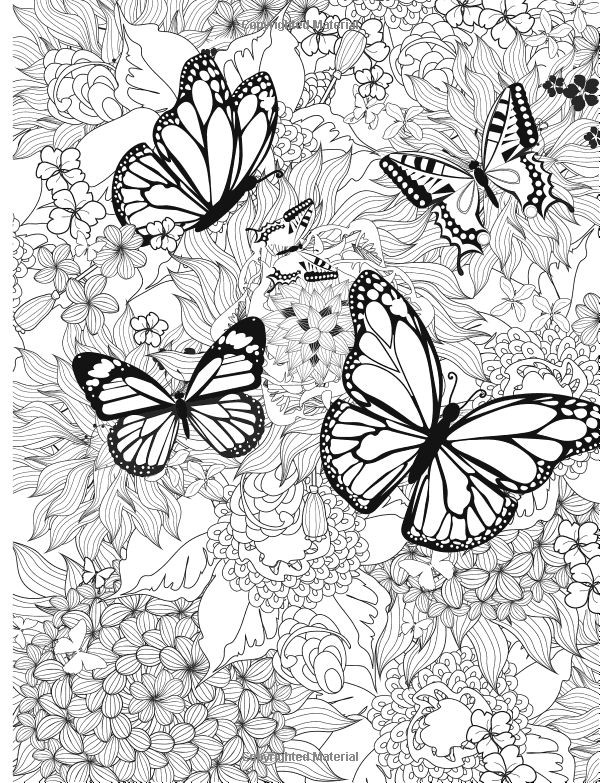 Imagen Adult coloring book: Butterflies and flowers 2