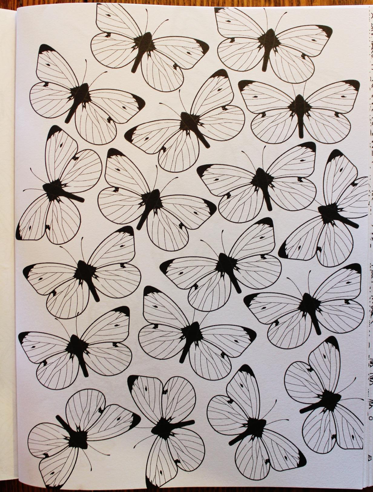 Imagen Adult coloring book: Butterflies and flowers 3