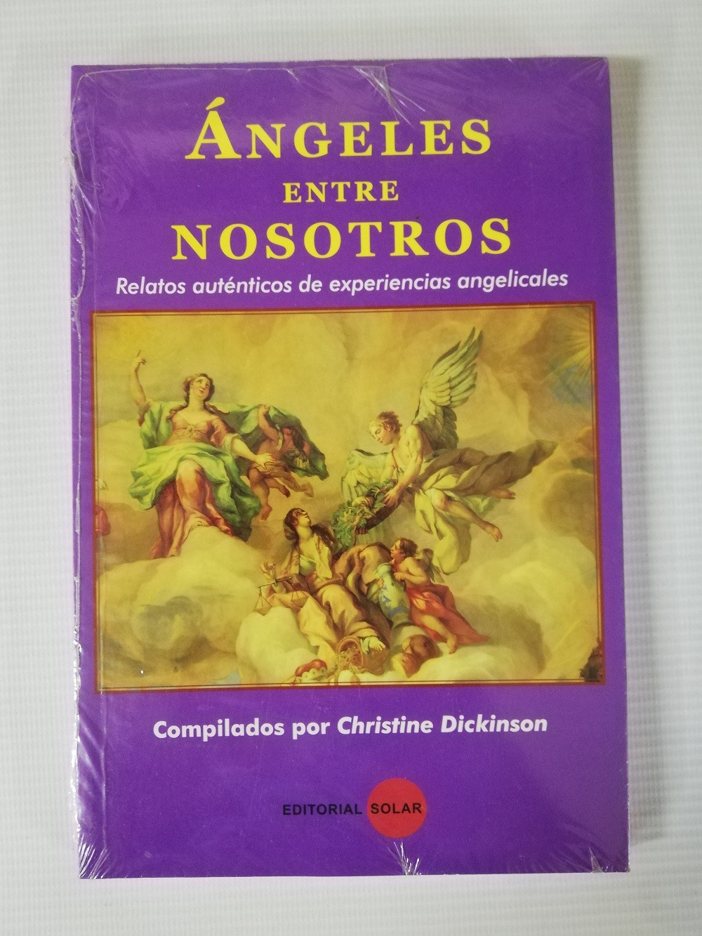 Imagen ANGELES ENTRE NOSOTROS - CHRISTINE DICKINSON