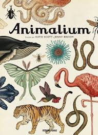 Imagen Animalium/ Katie Scott - Jenny Broom