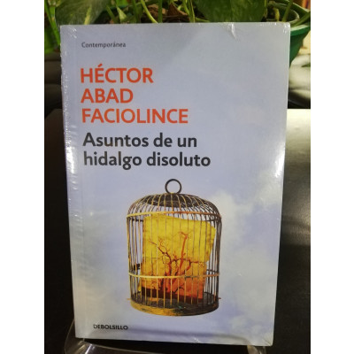 ImagenASUNTOS DE UNA HIDALGO DISOLUTO - HECTOR ABAD FACIOLINCE