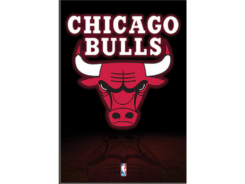 Balón de baloncesto - Spalding Chicago Bulls - 83-503Z