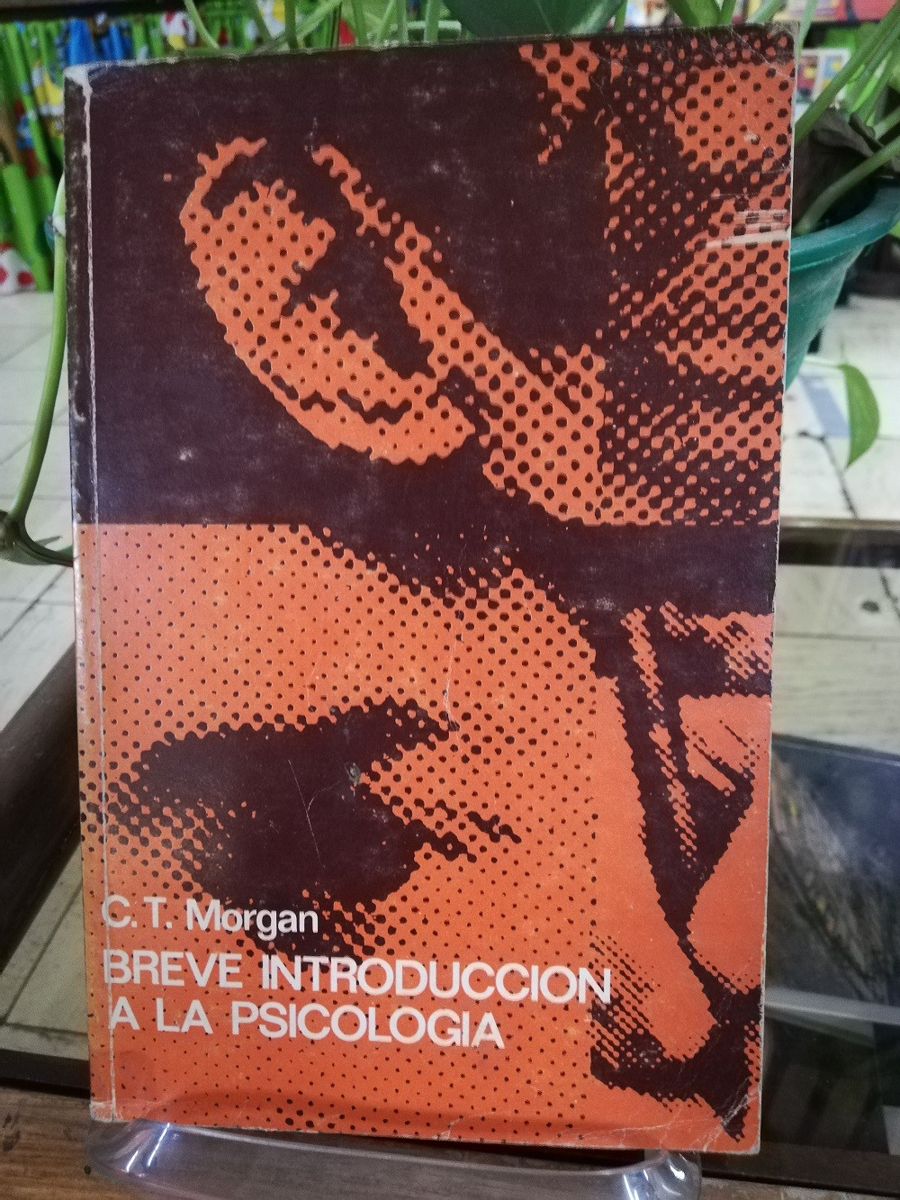 Imagen BREVE INTRODUCCIÓN A LA PSICOLOGIA - C.T. MORGAN 1