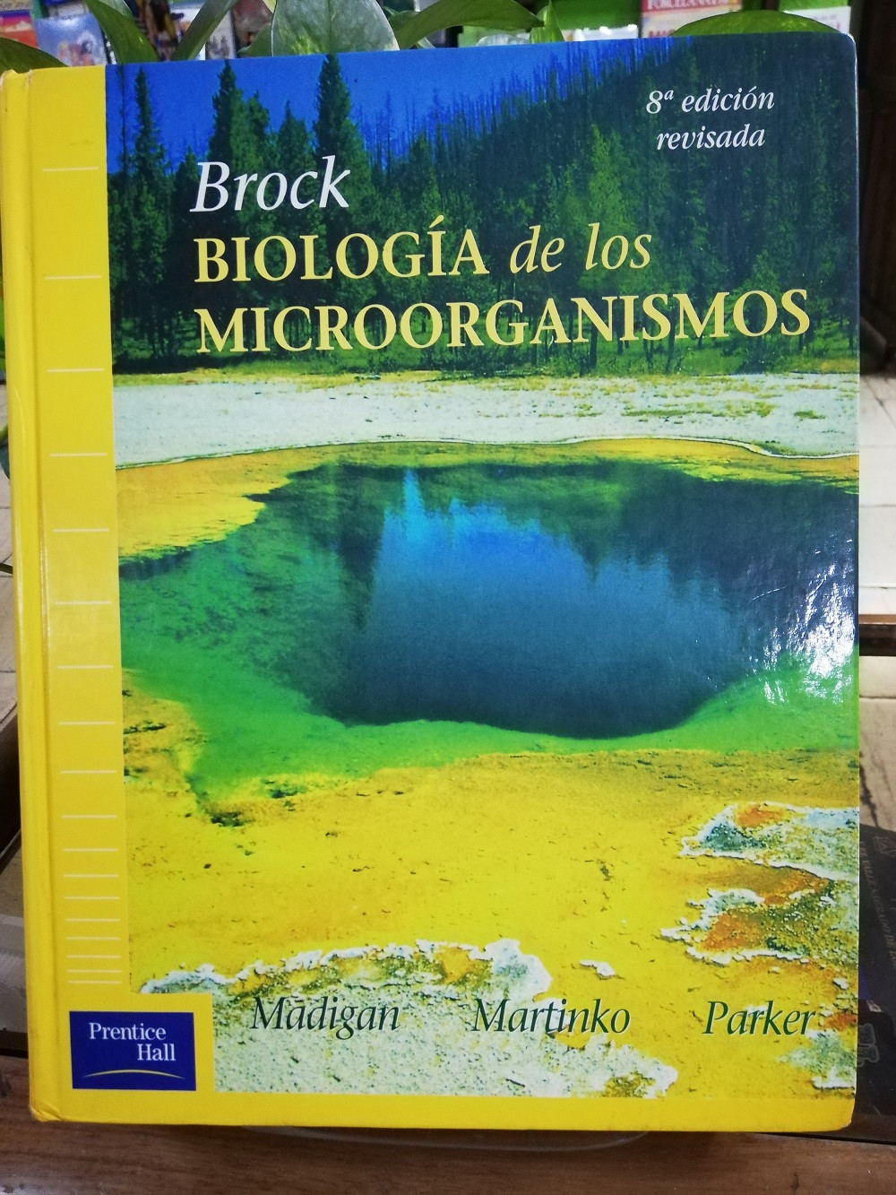 Imagen BROCK, BIOLOGIA DE LOS MICROORGANISMOS - MAGIGAN/MARTINKO/PARKER 1
