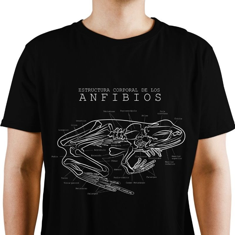 Imagen Camiseta Estructura Anfibios