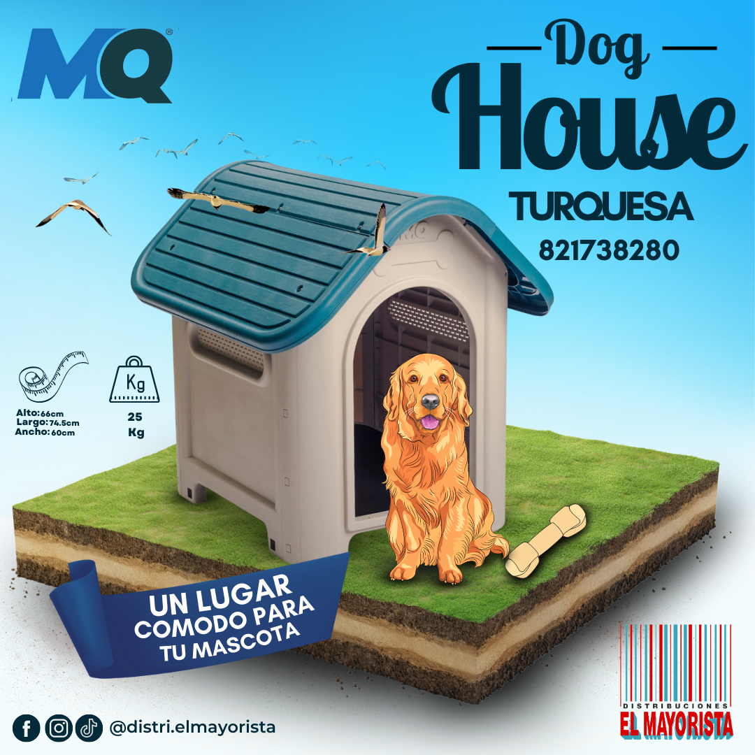Imagen Casa Para Perro - Turquesa 3