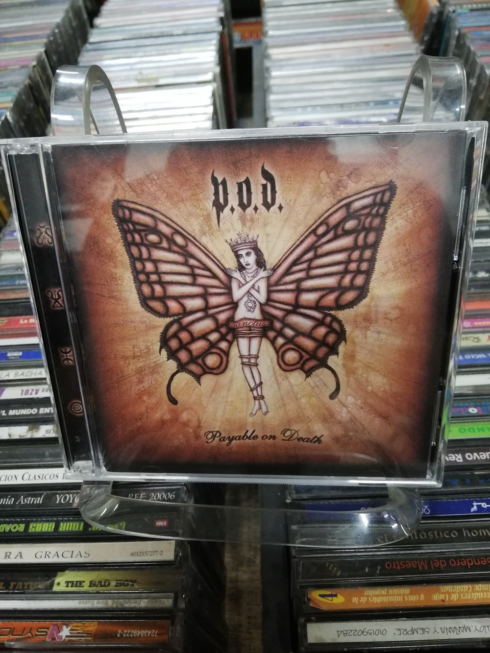 Imagen CD NUEVO P.O.D. - PAYABLE ON DEATH