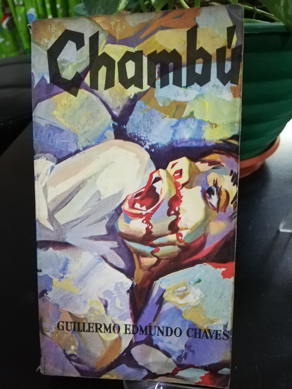 Imagen CHAMBÚ - GUILLERMO EDMUNDO CHAVES 1