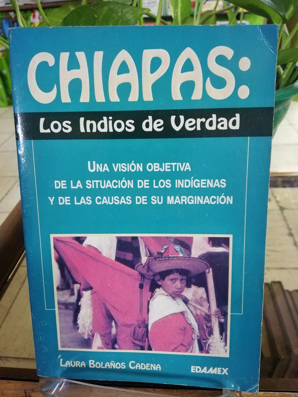 Imagen CHIAPAS: LOS INDIOS DE VERDAD - LAURA BOLAÑOS CARDENAS