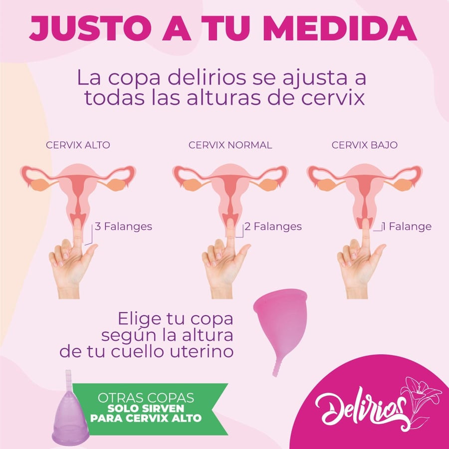 Imagen Combo Copa Menstrual Anatómica  7