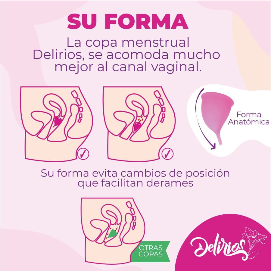 Imagen Combo Copa menstrual anatómica  6