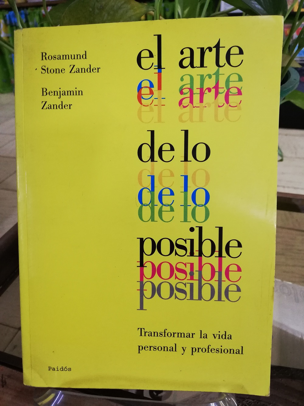 the art of possibility by rosamund zander and benjamin zander