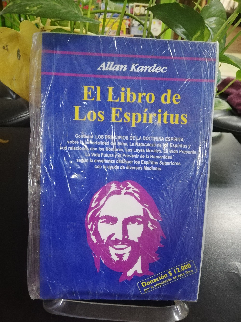 Imagen EL LIBRO DE LOS ESPIRITUS - ALLAN KARDEC 1