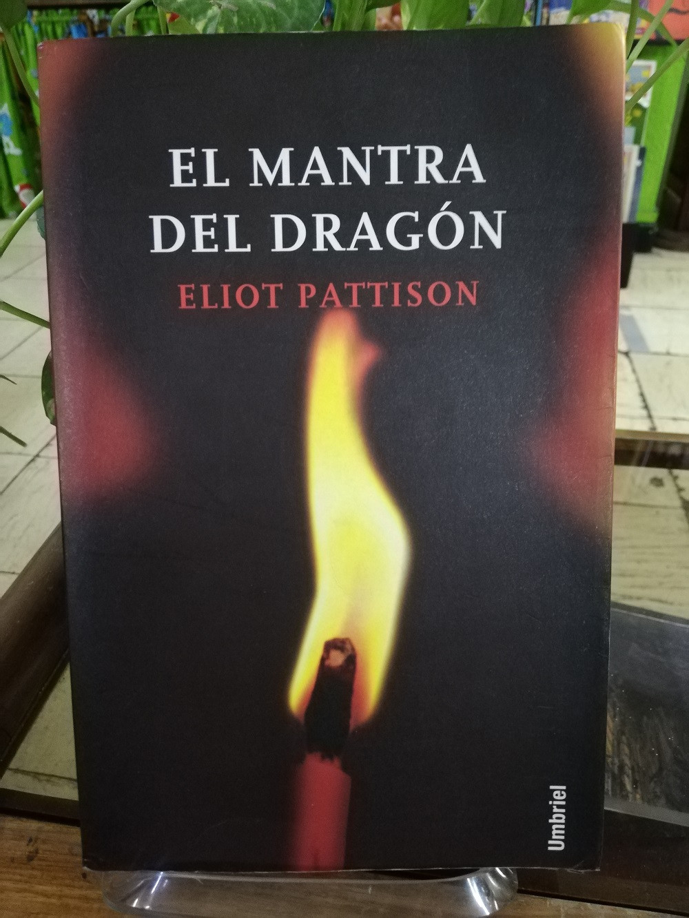 Imagen EL MANTRA DEL DRAGÓN - ELIOT PATTISON