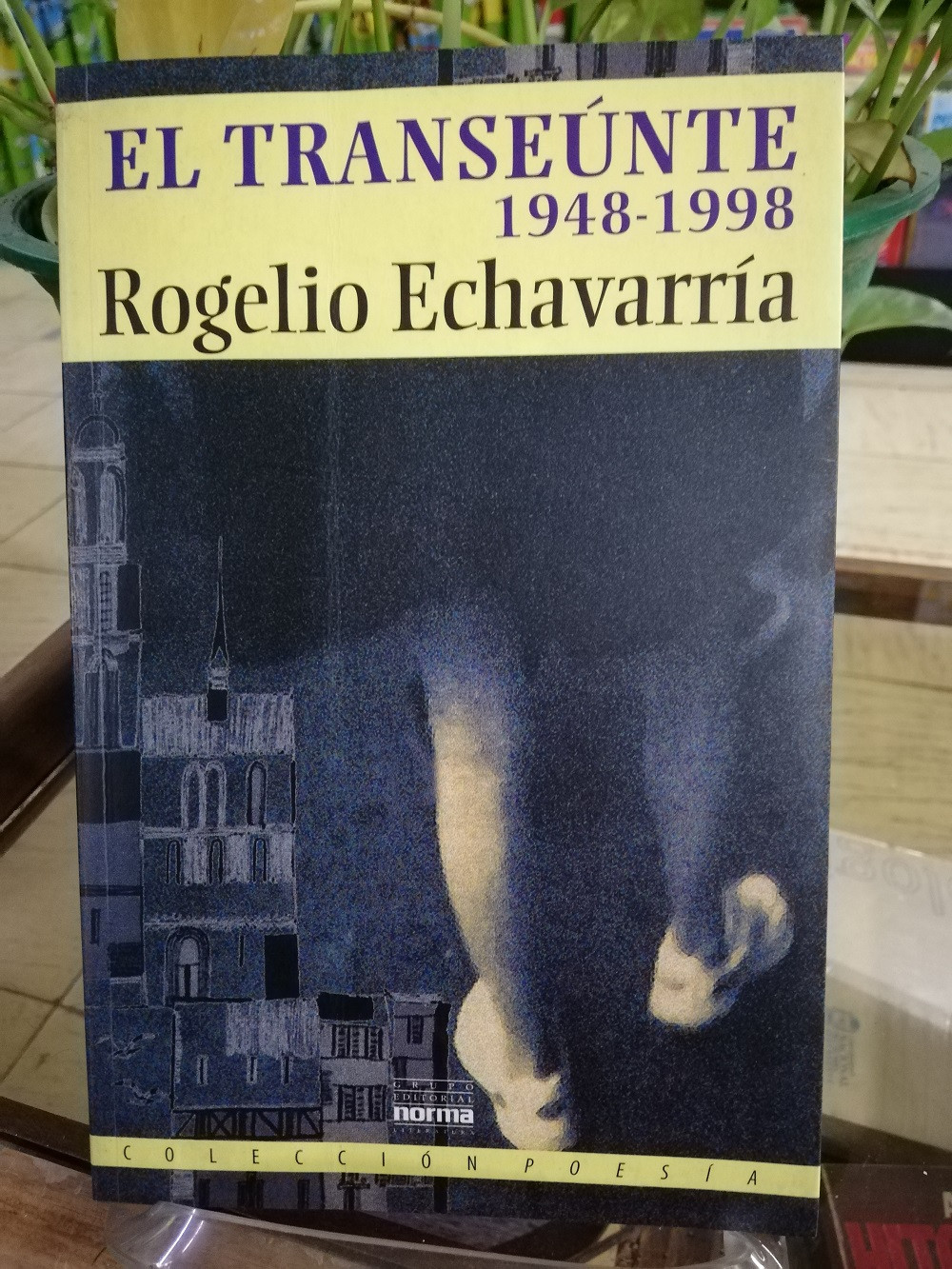Imagen EL TRANSEUNTE 1948-1998 - ROGELIO ECHAVARRIA