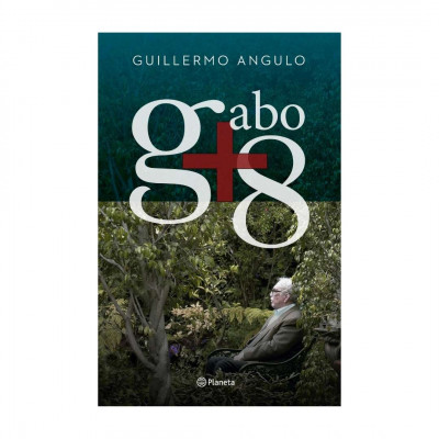 ImagenGabo + 8. Guillermo Angulo