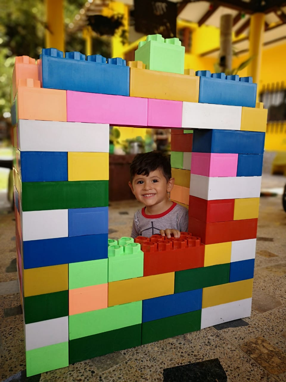 Imagen Giant Bricks (bloques gigantes) x 100 bloques 1