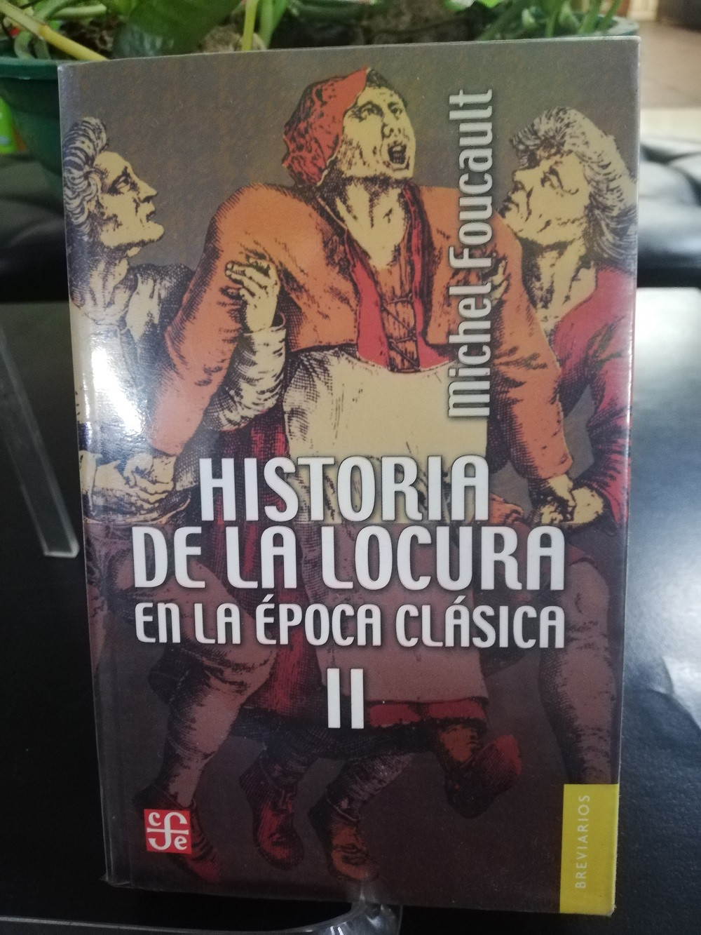 Imagen HISTORIA DE LA LOCURA VOL. 2 - MICHEL FOUCAULT 1