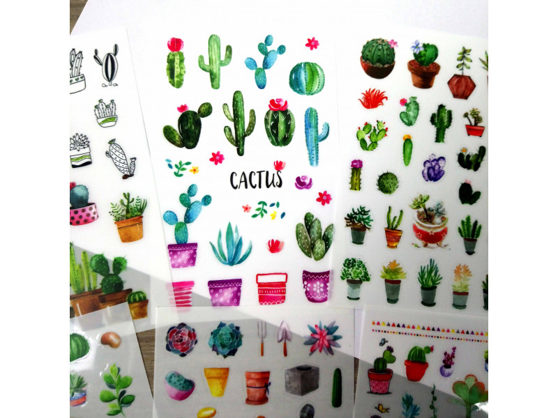 Stickers para decoración cactus a todo color - Rotula2 Empresa de  rotulación y marketing en Madrid