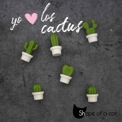 ImagenImanes mini cactus