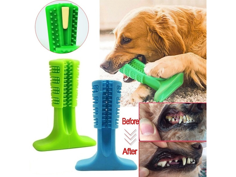 Juguete Cepillo Dental Para Perros: PT-1 7PM