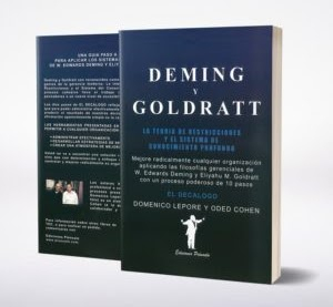 Imagen Libro Deming y Goldratt  El Decalogo.