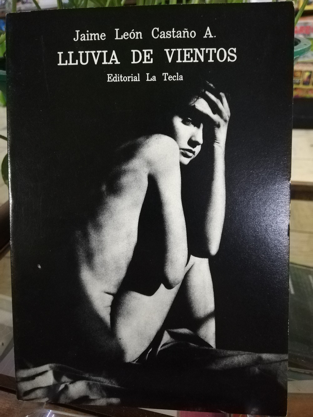 Imagen LLUVIA DE VIENTOS - JAIME LEÓN CASTAÑO