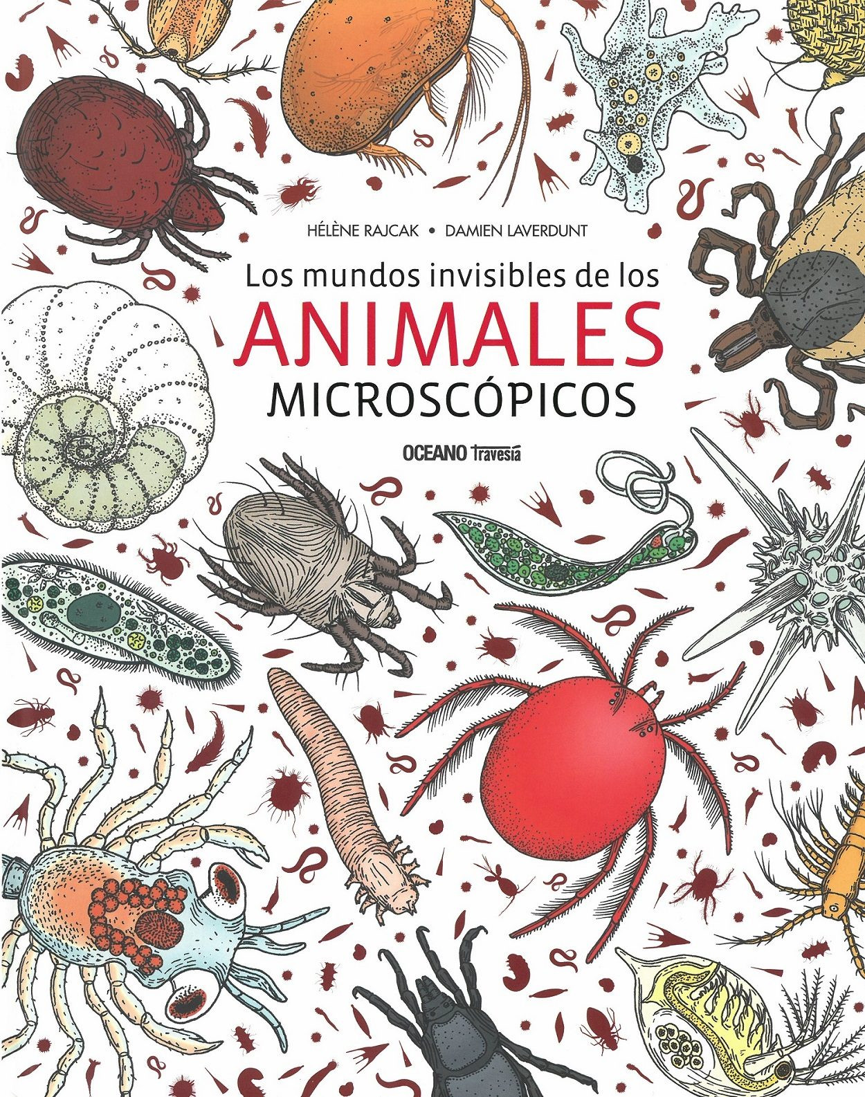 Imagen Los mundos invisibles de los animales microscópicos/ Hélene Rajcak - Damien Laverdunt