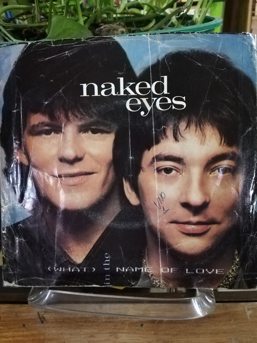 Imagen LP 45 RPM NAKED EYED - (WHAT) IN THE NAME OF LOVE/TWO HEADS TOGETHER