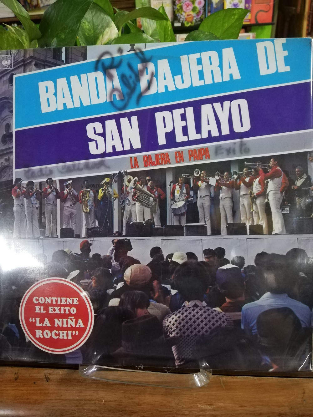 Imagen LP BANDA BAJERA DE SAN PELAYO - LA BAJERA EN PAIPA