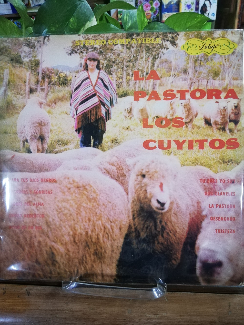 Imagen LP LOS CUYITOS - LA PASTORA