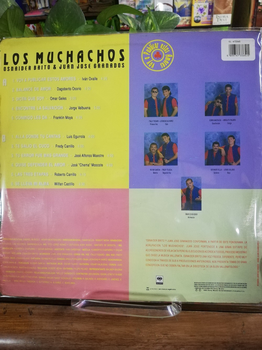 Imagen LP LOS MUCHACHOS - VOY A PUBLICAR ESTOS AMORES 2