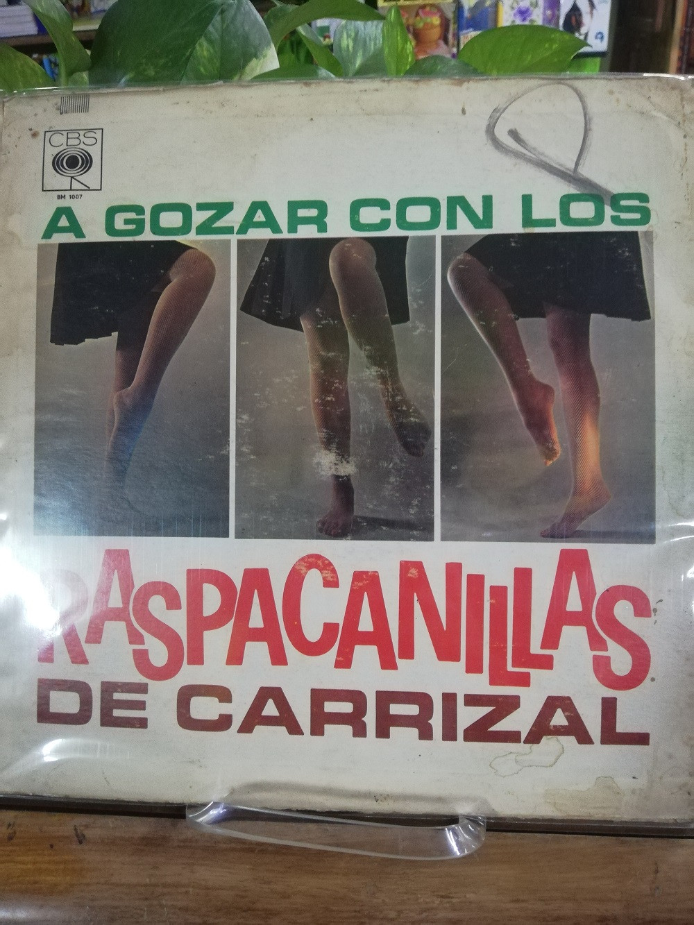 Imagen LP LOS RASPACANILLAS DE CARRIZAL - A GOZAR 1