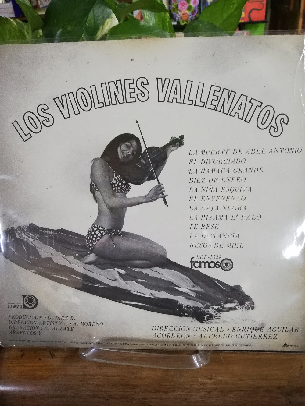 Imagen LP LOS VIOLINES VALLENATOS - LOS VIOLINES VALLENATOS 2