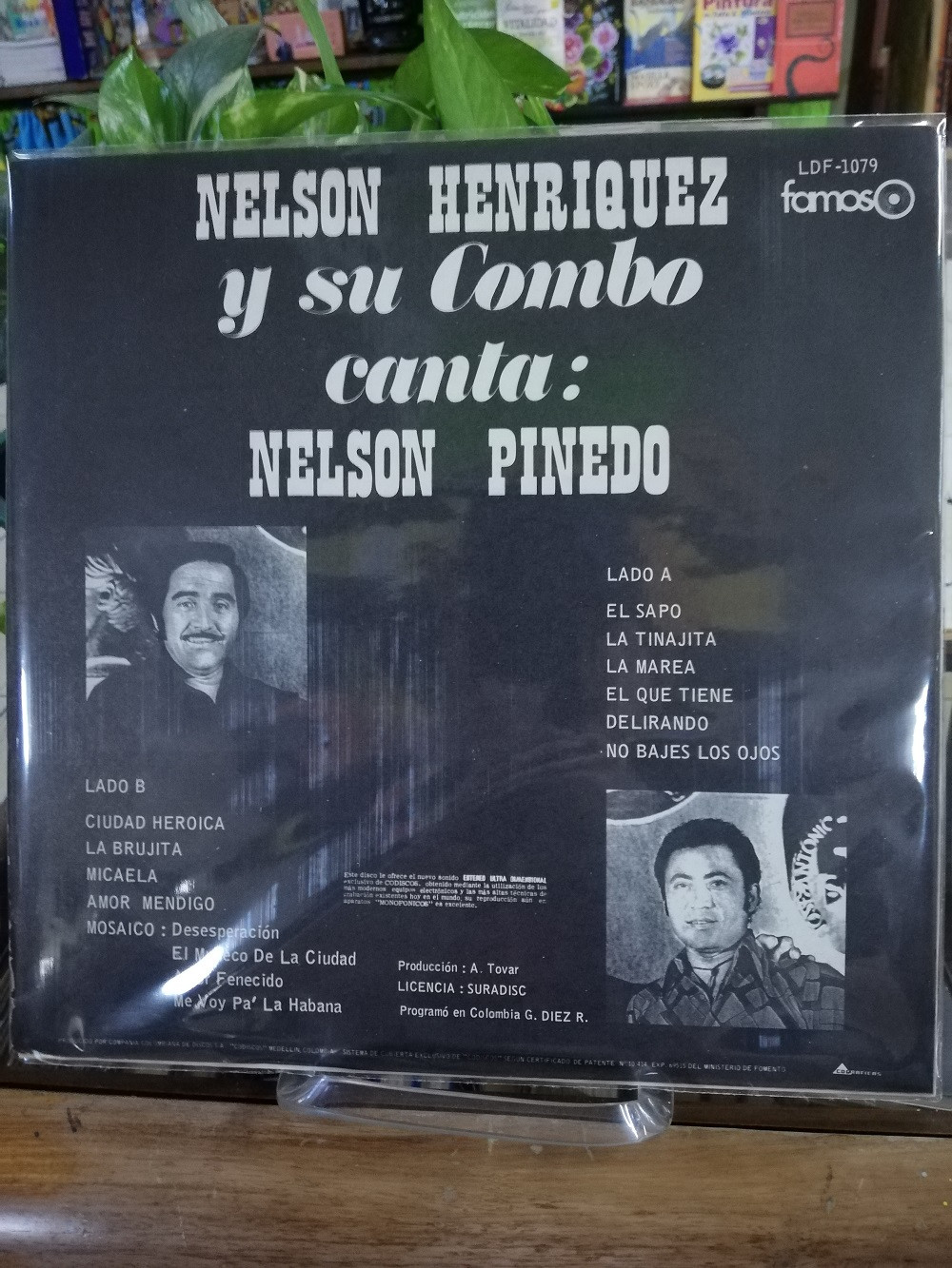 Imagen LP NELSON HENRIQUEZ Y SU COMBO - CANTA NELSON PINEDA 2
