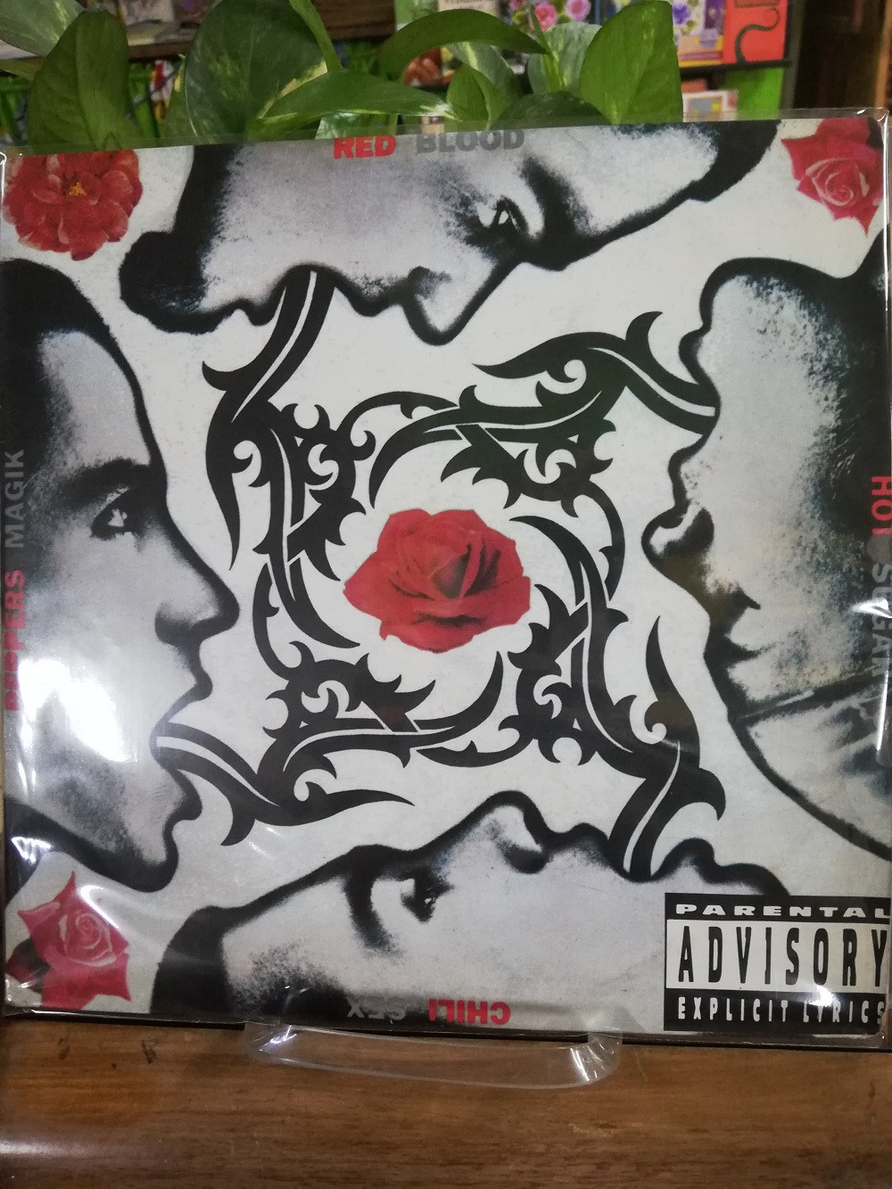 Imagen LP RED HOT CHILI PEPPERS - BLOOD SUGAR SEX MAGIC 1