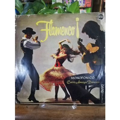 ImagenLP THE CURRO AMAYA DANCERS - FLAMENCO