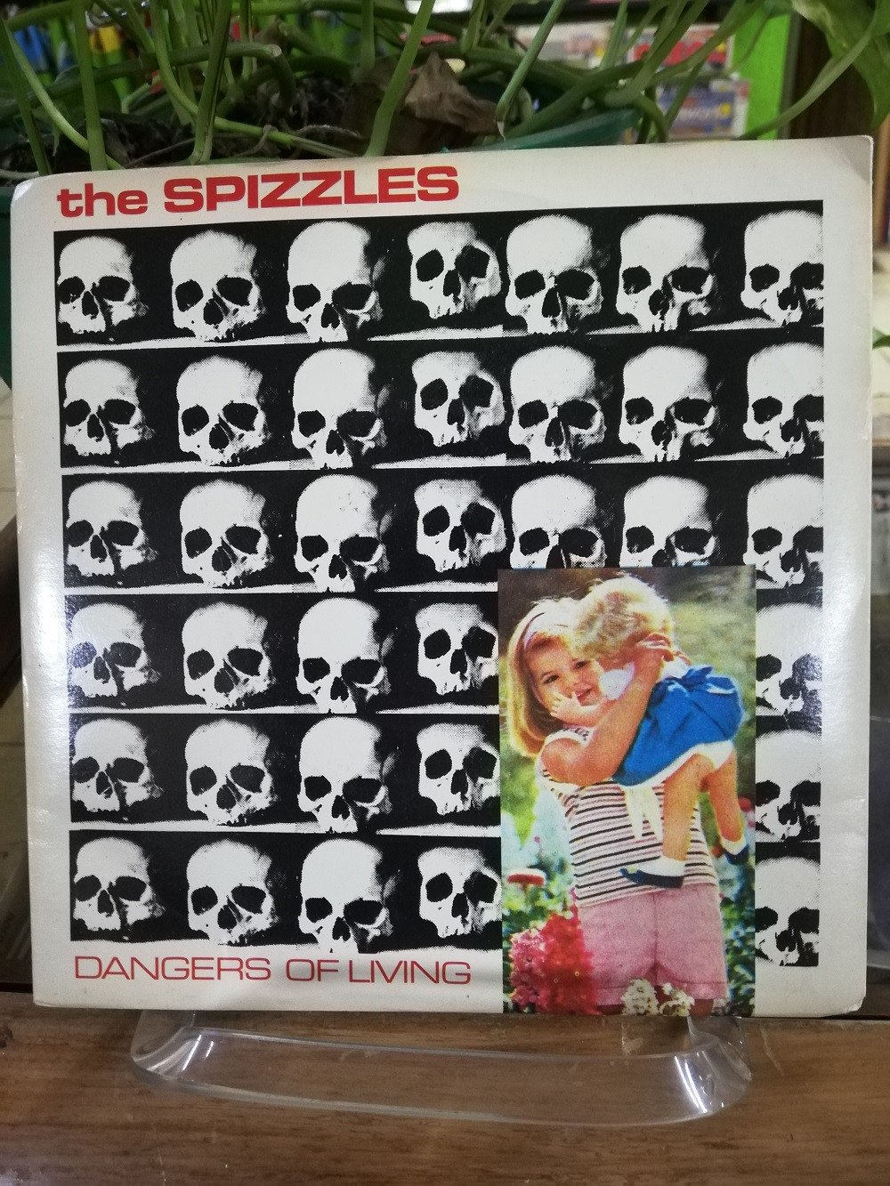 Imagen LP THE SPIZZLES - SCARED / DANGERS OF LIVING 1