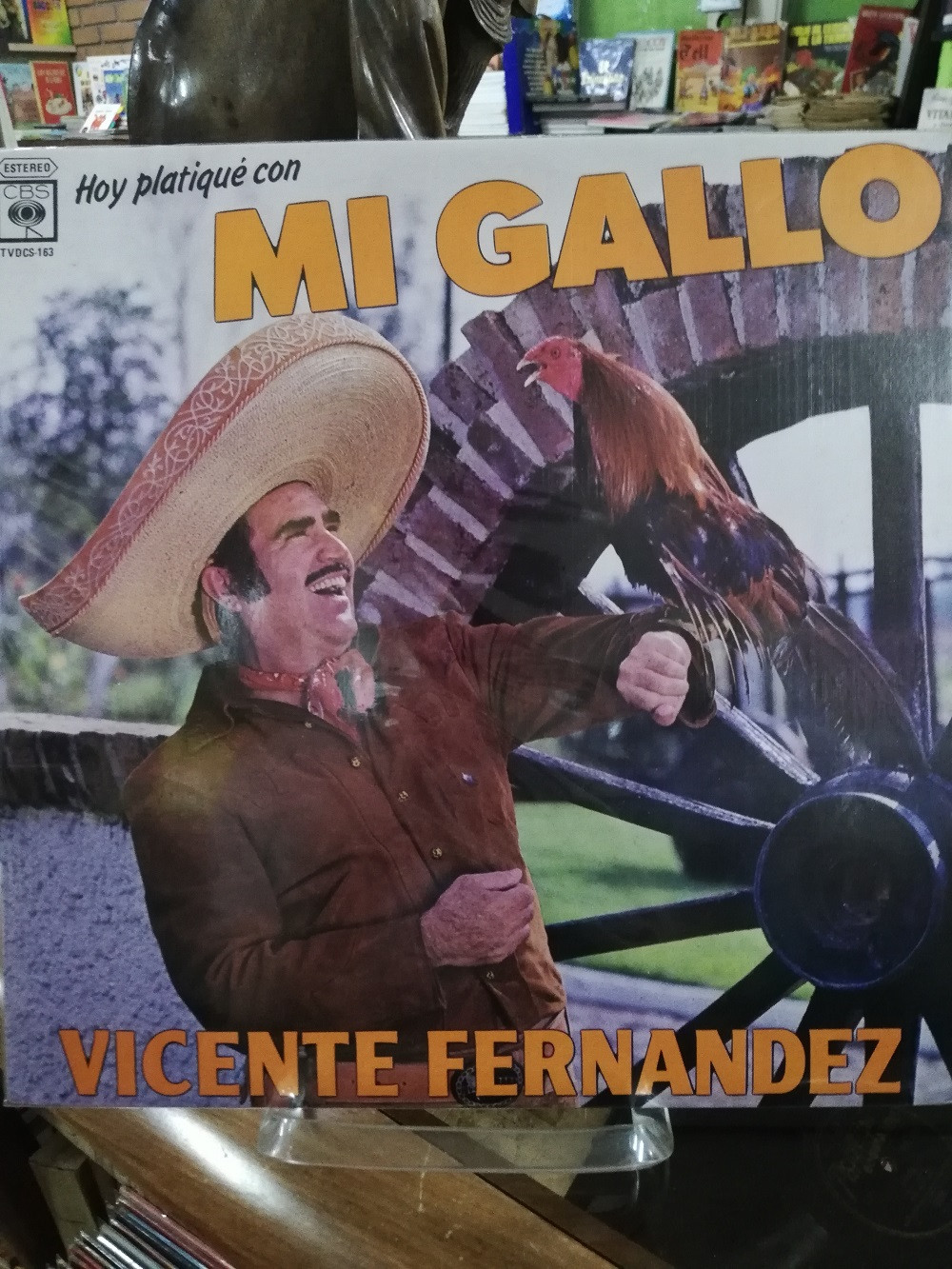 Imagen LP VICENTE FERNANDEZ - HOY PLATIQUÉ CON MI GALLO