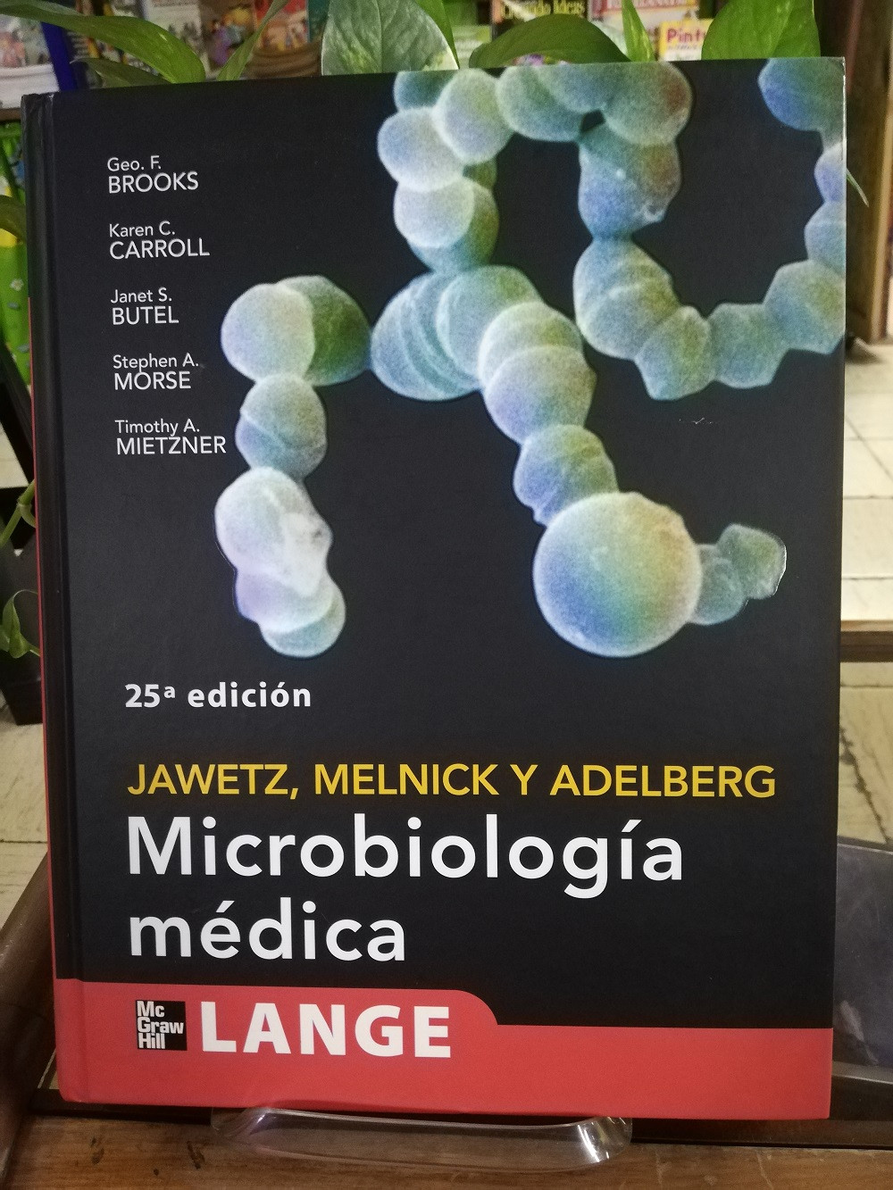 Imagen MICROBIOLOGIA MÉDICA - JAWETZ, MELNICK Y ADELBERG  1