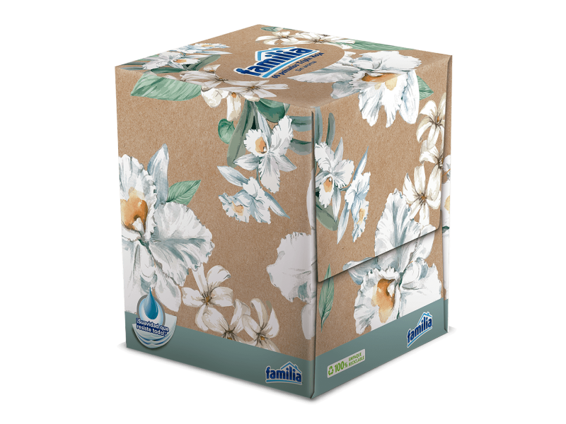 Bosque Verde Pañuelos papel blancos faciales (forma de cubo) Caja 100 u