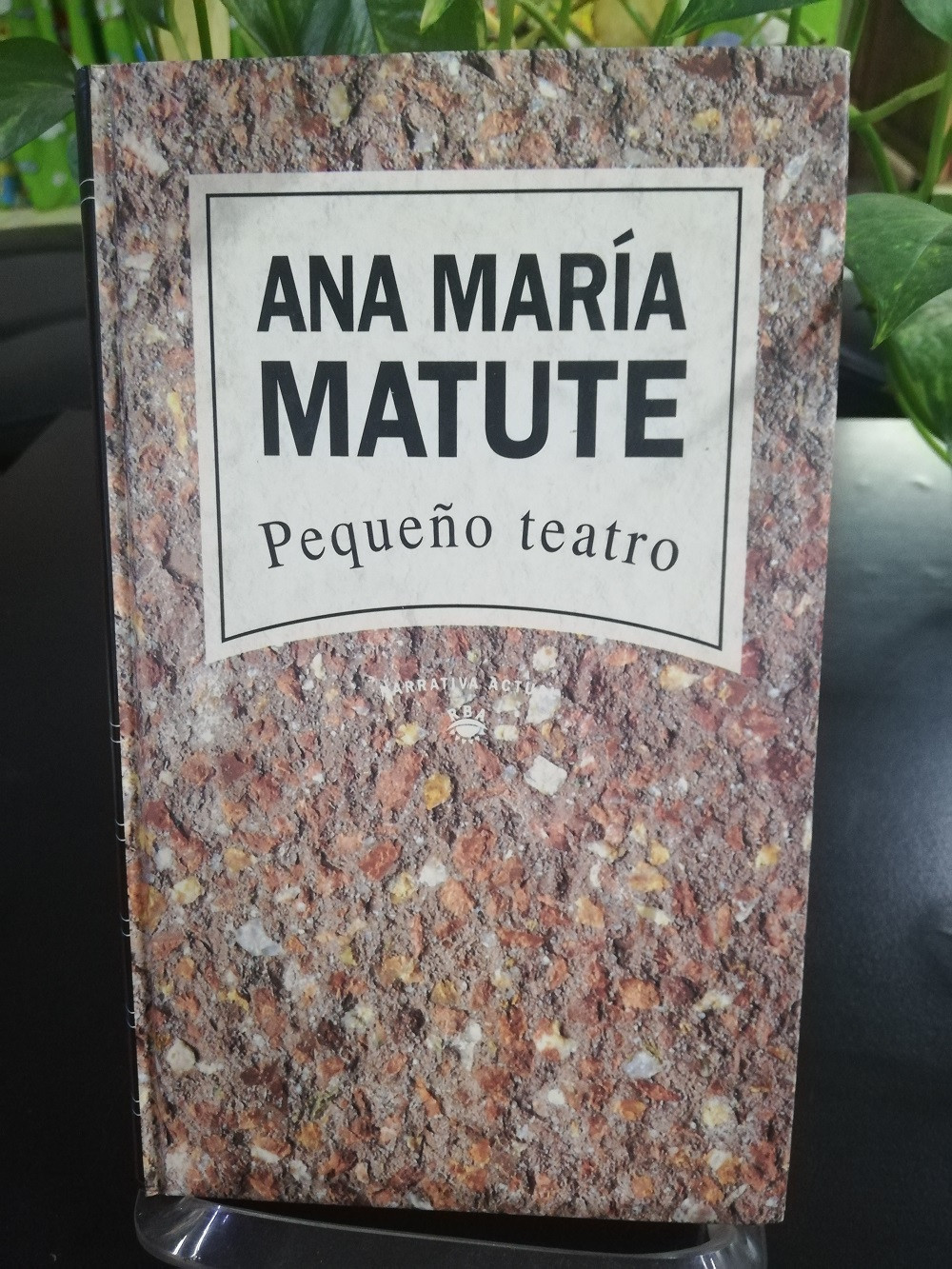 Imagen PEQUEÑO TEATRO - ANA MARIA MATUTE