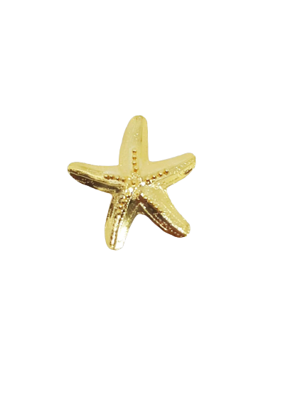 Imagen Pin estrella de mar  2