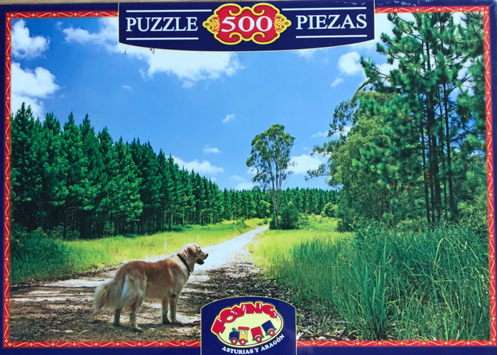 Imagen Puzzle 500 piezas Perro labrador