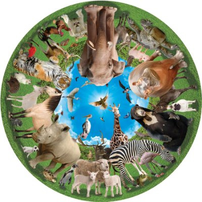 Imagen Rompecabezas Mesa redonda – Puzzle de Animal Arena. 500 piezas. 1