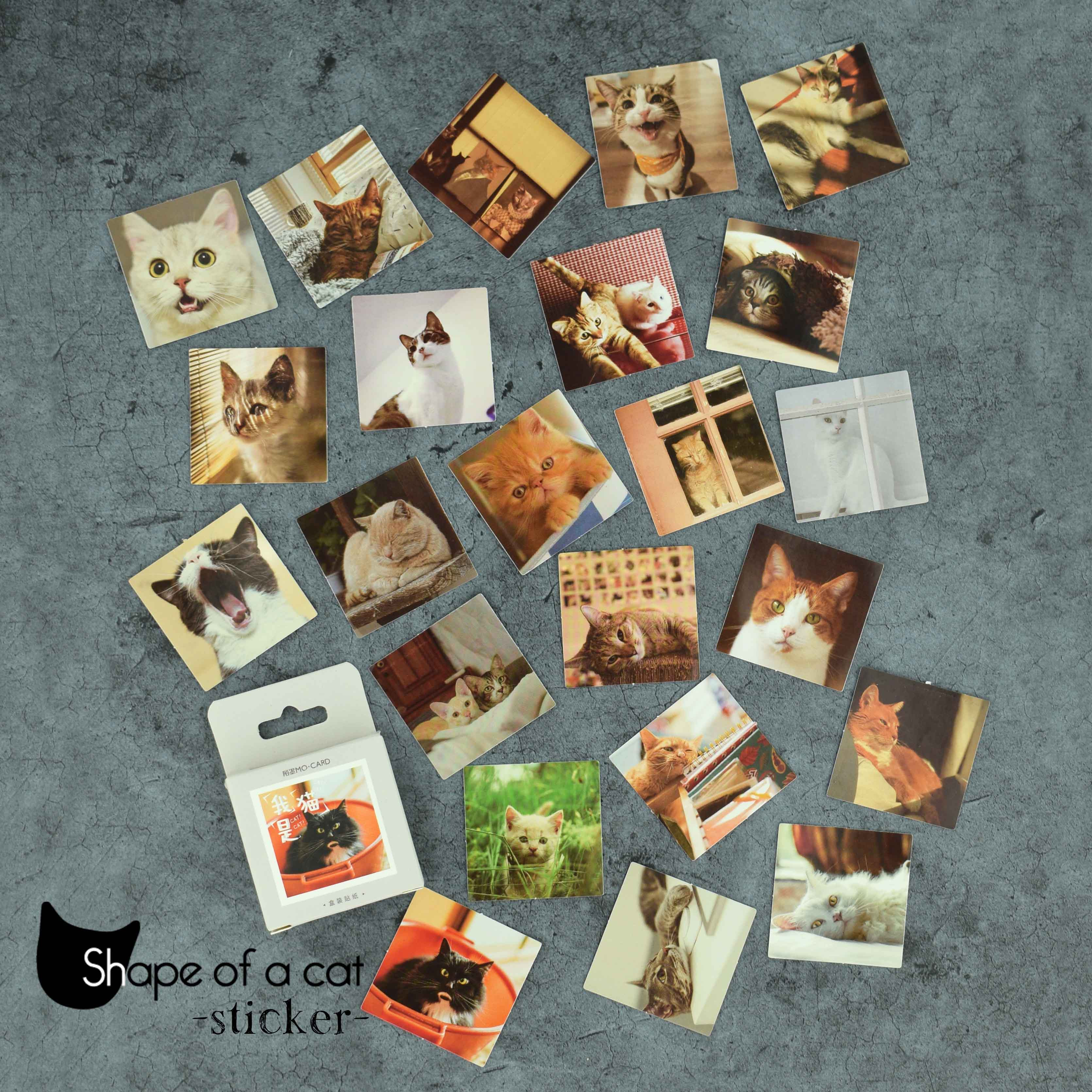 Imagen Sticker gato fotografías  1