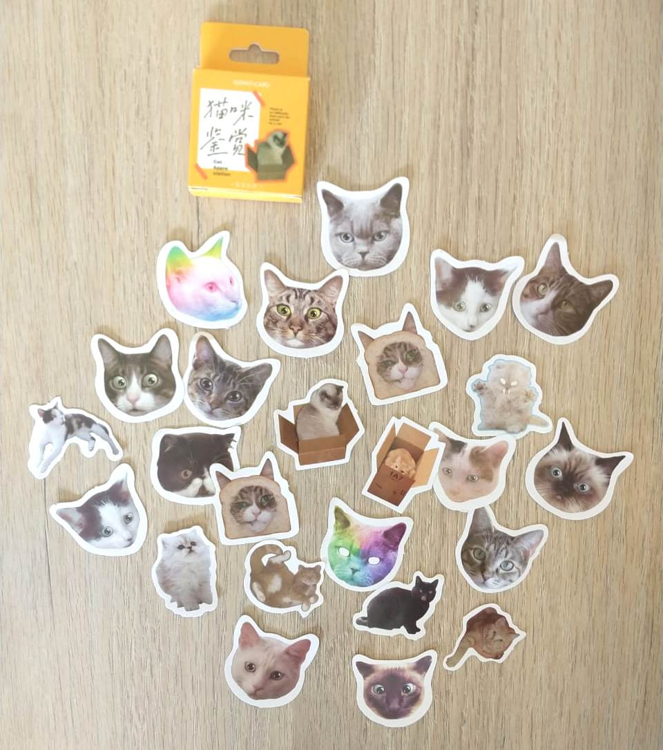Imagen Stickers gato caras 1