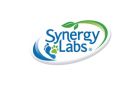 SYNERGY LABS 
